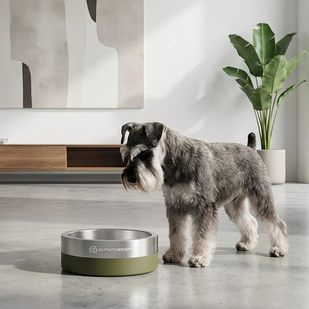 Stainless steel anti knock dog slow pet bowl.