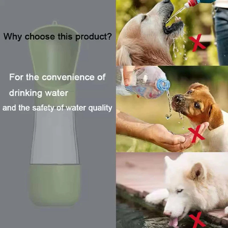 Leakproof Portable Water Bottle