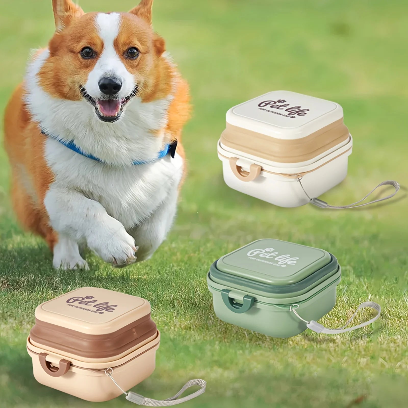 Travel Dog Bowls with Lid