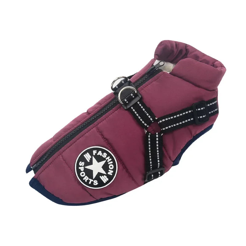 Waterproof winter jacket with harness