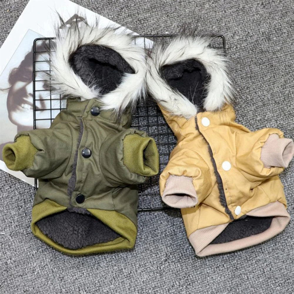 Winter Cargo Pet Coat