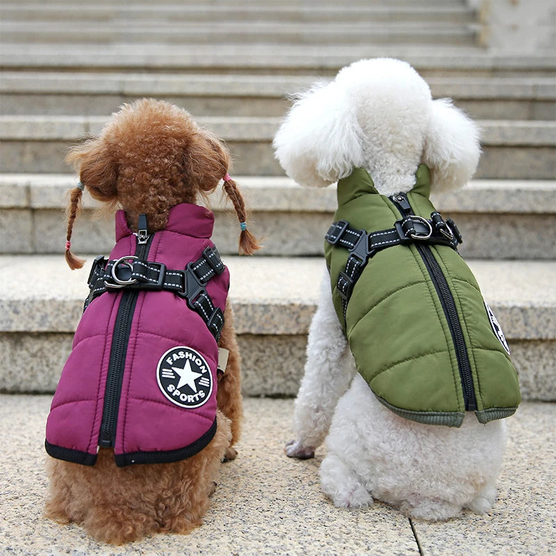 Waterproof winter jacket with harness