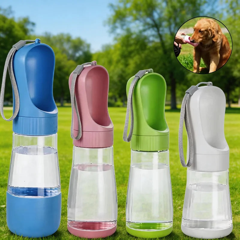 Leakproof Portable Water Bottle